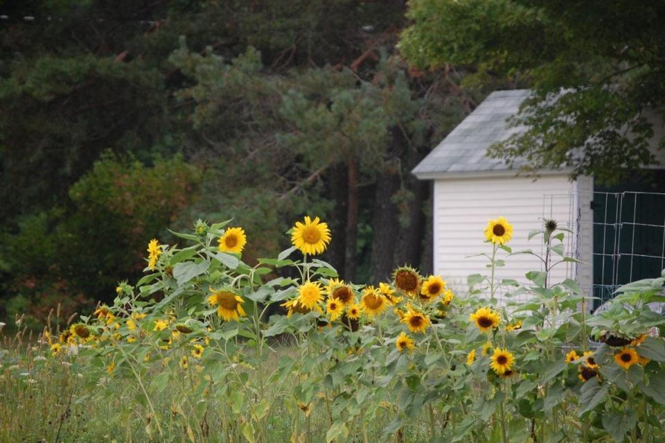 Clary Lake Bed And Breakfast Jefferson Exterior foto